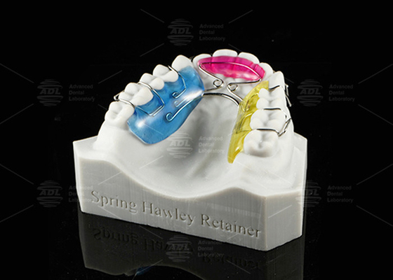 Retentor Hawley de Primavera Personalizável Retentor de Posição de Dentes Removível